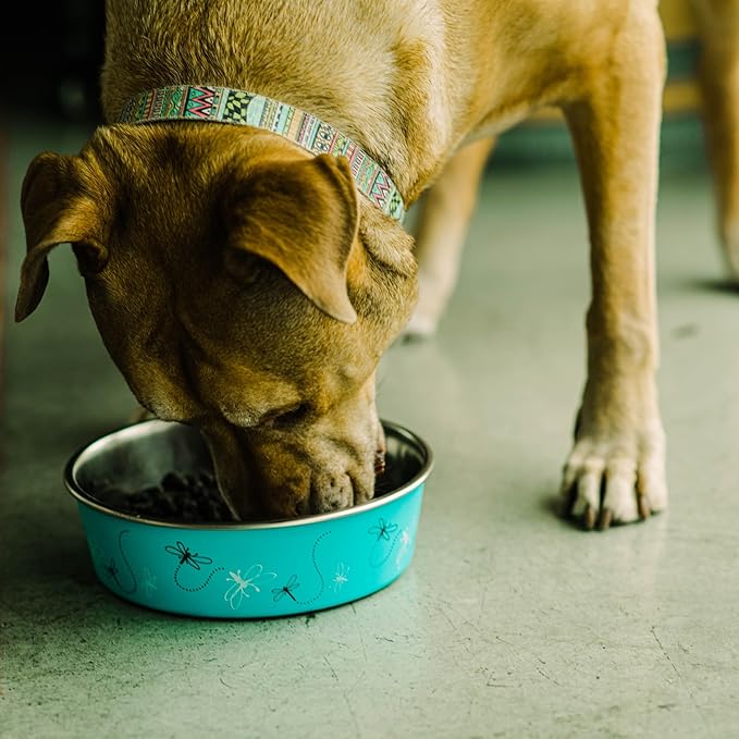 Loving Pets Bella Dog Bowls- Stainless Steel Dog & Cat Bowls - Spill Proof Dog Food Bowl, Cat Bowl, Puppy Essentials & Pet Supplies Great for Home & Travel (Large 35-65 lbs, Dragonfly)