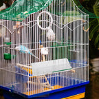 2pcs Automatic Hanging Bird Feeder Seed Tray Outdoor Garden Bird Food Container for Parrot Cockatiel Feeding Supplies