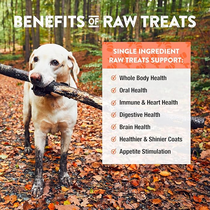 Northwest Naturals Raw Rewards Freeze-Dried Shrimp Treats for Dogs and Cats - Bite-Sized Pieces - Healthy, 1 Ingredient, Human Grade Ingredients, All Natural, Proudly Made in USA, 1 Oz (Pack of 3)