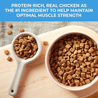 Nature's Recipe Grain Free Puppy Dry Dog Food, Chicken, Sweet Potato & Pumpkin Recipe, 4 lb. Bag