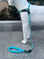 Slip Lead Dog Leash，Strong Nylon Rope Leash and Padded Handle,No Pull Outdoor Walking Training Lead for Small Medium Large Dogs(Blue,1/2"×4ft)