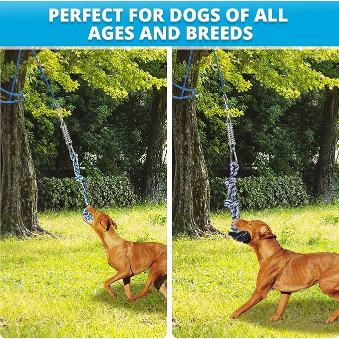 Spring Pole Rope Toys: Rope Pull & Tug of War with a Big Spring Pole Kit & 2 Strong 16ft Toys - Muscle Builder Interactive Toy for Pitbull Medium to Large Dog