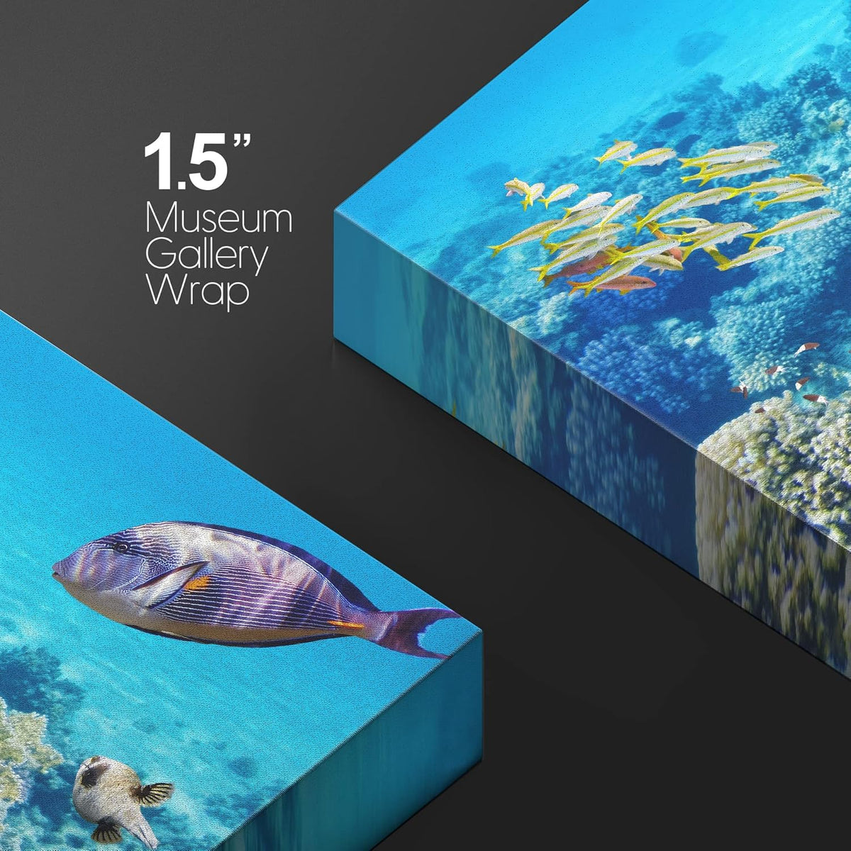 wall26 Canvas Print Wall Art Vibrant Teal Underwater Fish Coral Reef Nature Animals Photography Realism Rustic Scenic Landscape Wilderness Earth Colorful for Living Room, Bedroom, Office - 12"x18"