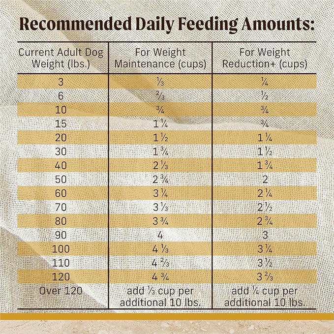 Merrick Healthy Grains Premium Adult Dry Dog Food, Wholesome And Natural Kibble With Chicken And Brown Rice - 25.0 lb. Bag