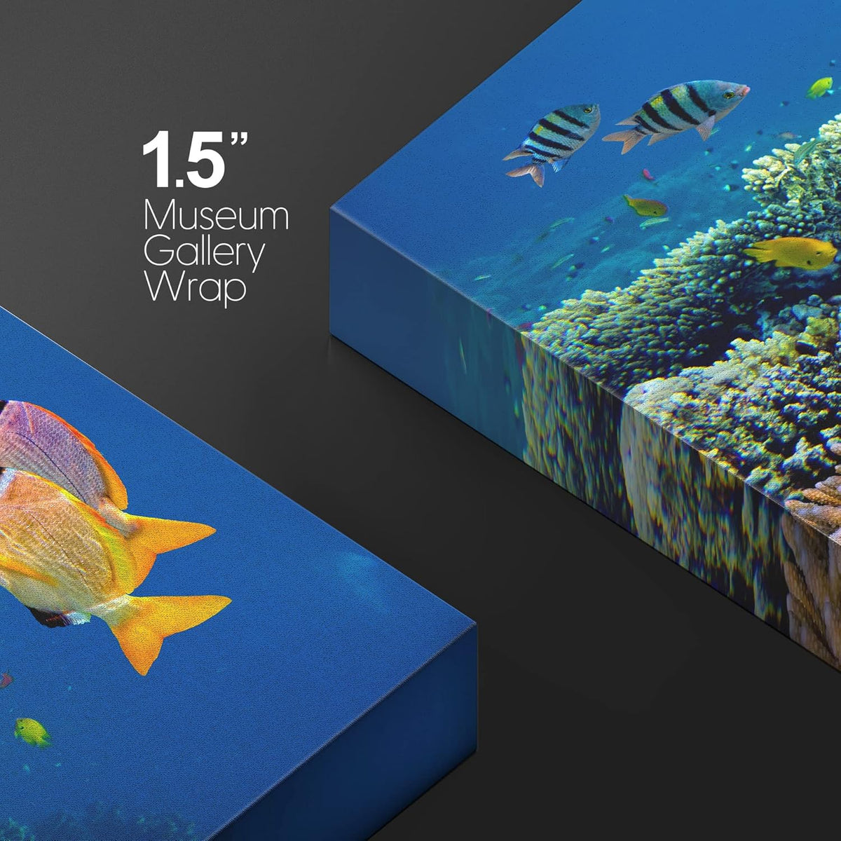 wall26 Canvas Print Wall Art Vibrant Coral Reef Underwater Panorama Nature Animals Photography Realism Rustic Scenic Landscape Wilderness Earth Colorful for Living Room, Bedroom, Office - 24"x36"