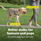 PetSafe Easy Walk Harness, No Pull Dog Harness, Deep Purple, Medium/Large | Patented Martingale Loop Gives Gradual Shoulder Pressure to Stop Pulling, Front-Chest Leash Clip Prevents Gagging
