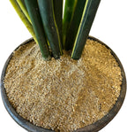 Washed Natural Sand – Coarse or Fine Grain Sand for Plants, Gardening, Crafts, Terrariums & Play (Course Sand, 2 Quarts)