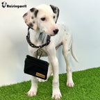 Dog Treat Pouch, Black Pocket Sized Pet Training Pouch, Cotton Fabric, Hand Free Dog Walking Bag with Carabiner, Self-Closing Pet Feed Snack Reward, for Pet Puppy Travel or Outdoor Use