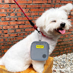 Dog Treat Pouch for Pet Walking and Training with Clicker Poop Bags Small Fanny Zipper Pack Holder for Puppy Snack Dispenser Kit for Leash and Outdoor Use （Gray）