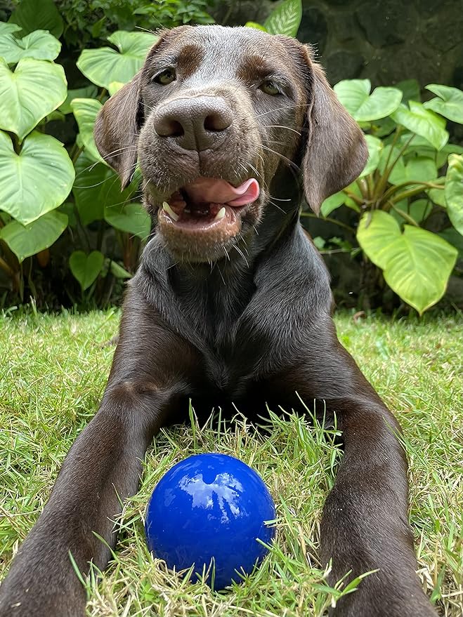 SuperChewy Tough Dog Ball Toy | Strong Natural Rubber | Great Dog Fetch Toy | Chew Toy for Dogs | Ultra Durable Chew Toy for Aggressive Chewers
