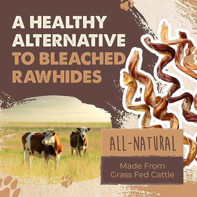 Mighty Paw Naturals Curly Bully Sticks for Dogs - Grass Fed Beef Chews. Bully Sticks for Large Dogs, Medium, Small Breeds. Lower Odor Treats for Small Pets. Single Ingredient 6” - 5 Pack