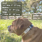Pawsitive Hemp Dog Collar - Super Soft Hypoallergenic Lining. Great for Small, Medium and Large Dogs; Large Natural