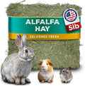 5lb Freshly Dried Organic Alfalfa Hay for Guinea Pigs, Rabbits, Chinchillas, Goats, Hamsters & Ferrets, Small Animal Food Rich in Protein & Fiber, Hand-Selected, Hand Sorted, USA Grown