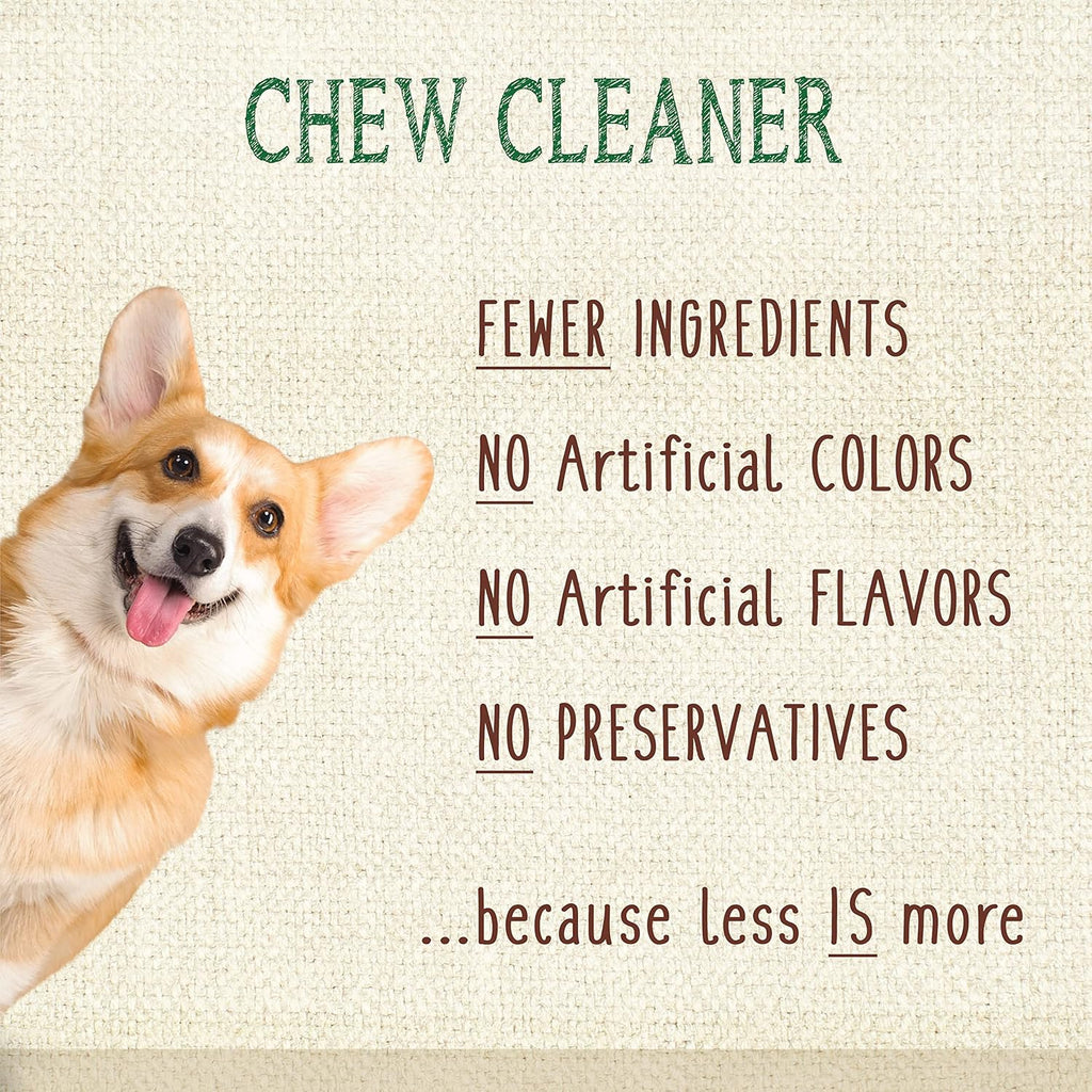 Nylabone Nutri Dent Dog Dental Chews - Natural Dog Teeth Cleaning & Breath Freshener - Dental Treats for Dogs - Fresh Breath Flavor, Mini (32 Count)