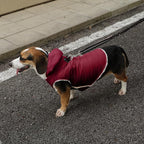 Fleece Lining Dog Hoodie with Harness Built in,Extra Warm Large Dog Jacket in Winter Doggie Coats with Drawstring Hooded,Red XXXL