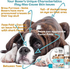 The Blissful Dog 8 oz TIN Boxer Booboo Butter
