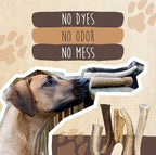 Mighty Paw Split Elk Antlers for Dogs (Sourced in The USA) | 2 Whole Medium 6"+ Long Lasting Bones for Aggressive Chewers - Naturally Shed Split Deer Antler for Dogs - Low Odor Chews (Pack of 2)