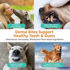 Zesty Paws Clean Breath Dental Chews for Dogs - Dog Breath Freshener + Fights Plaque & Tartar - Dental Chew with Peppermint Oil + Brown Kelp, Green Tea Extract - Teeth, Gum & Oral Health Support