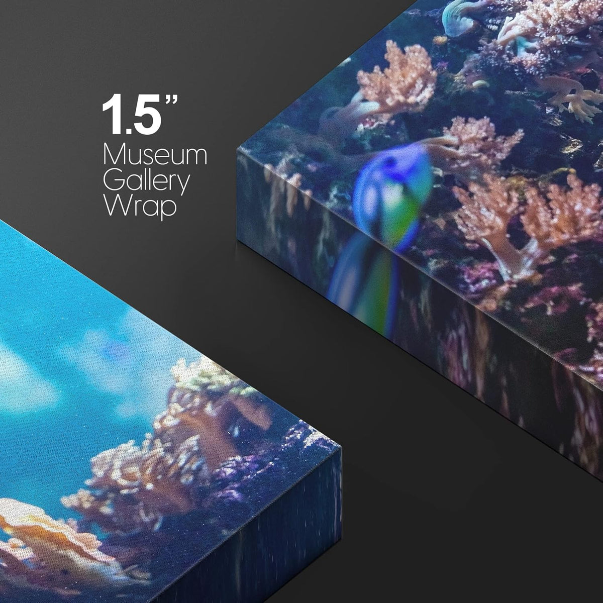 wall26 Canvas Print Wall Art Vibrant Blue Pink Coral Reef Blue Hippo Tang Nature Animals Photography Realism Rustic Scenic Landscape Wilderness Colorful for Living Room, Bedroom, Office - 12"x18"