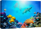 wall26 Canvas Print Wall Art Vibrant Coral Reef Shark Fish Anemone Reef Nature Animals Photography Realism Rustic Scenic Landscape Wilderness Earth for Living Room, Bedroom, Office - 32"x48"