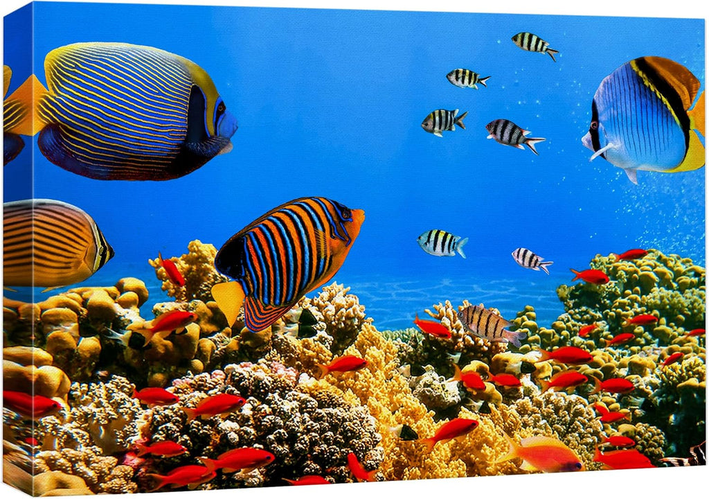 wall26 Canvas Print Wall Art Tropical Island Underwater Fish Red Anemone Nature Animals Photography Realism Rustic Scenic Landscape Wilderness Colorful for Living Room, Bedroom, Office - 32"x48"