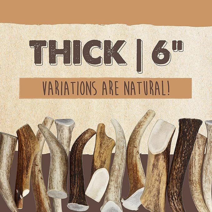 Mighty Paw Split Elk Antlers for Dogs (Sourced in The USA) | 2 Whole Medium 6"+ Long Lasting Bones for Aggressive Chewers - Naturally Shed Split Deer Antler for Dogs - Low Odor Chews (Pack of 2)
