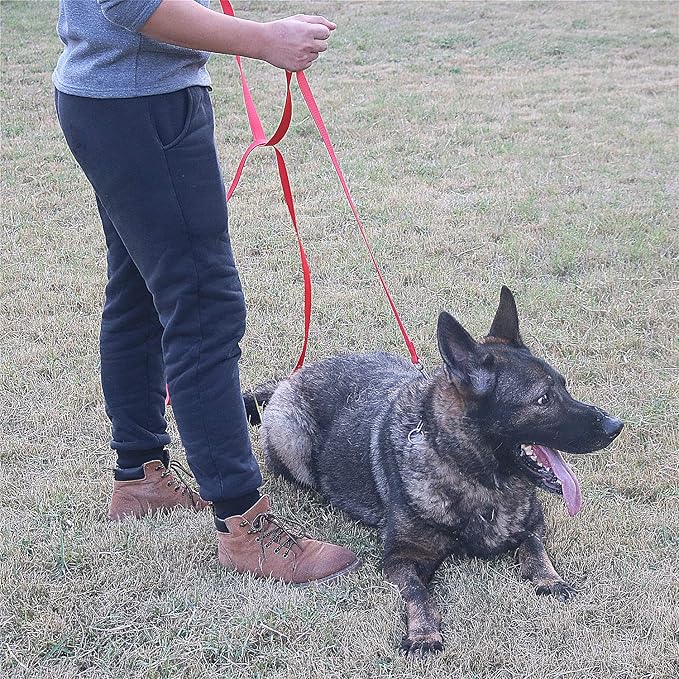 Dog/Puppy Obedience Recall Training Agility Lead -15ft 20ft 30ft 40ft 50ft Training Leash - Great for Play, Camping, or Backyard - Red 50ft