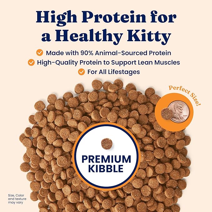 Solid Gold High Protein Dry Cat Food - Grain Free & Gluten Free Chicken Cat Dry Food w/Probiotics for Gut Health & Digestion - High Fiber & Omega 3 - Low Carb Superfood Kibble for Cats All Ages -12LB