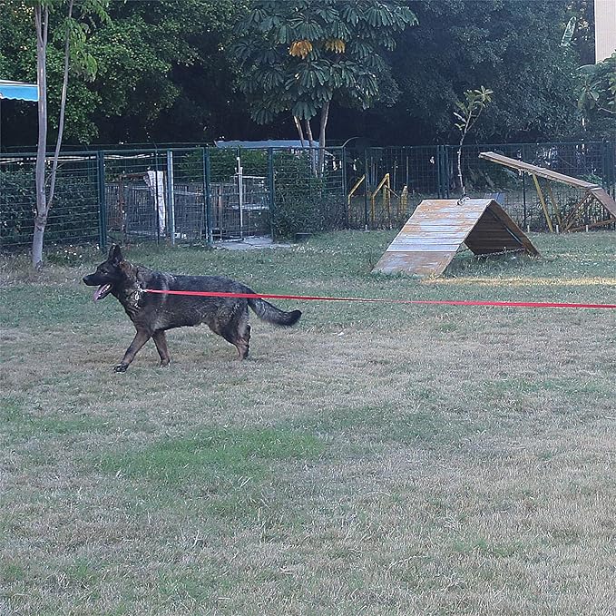 Dog/Puppy Obedience Recall Training Agility Lead -15ft 20ft 30ft 40ft 50ft Training Leash - Great for Play, Camping, or Backyard - Red 50ft