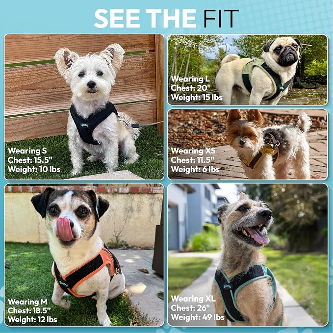 Gooby Escape Free Easy Fit X Step-in Dog Harness, Atlanta Peach, Large | Patented escape-free, tightens on back-out; Choke-free X-frame + V-neck; Quick-release buckle; Reflective trim