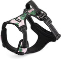 Lucky Love Dog No Pull Dog Harness, Adjustable and Easy to Walk, Cute Patterned Harness for Large Male & Female Dogs - Laguna, Large