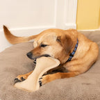 SPOT Dura-Fused Leather Bone- Durable Dog Toy with Squeaker, Real Leather & Jute Fabric, Interactive Toy for Moderate & Aggressive Chewers, Medium & Large Dogs and Puppies, 9 inch