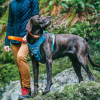 Kurgo Journey Air Dog Harness, Coral, Small | Padded Chest, Ripstop Outer & Breathable Mesh, Back Assist Handle, Rust-Free Aluminum Hardware, Reflective Trim
