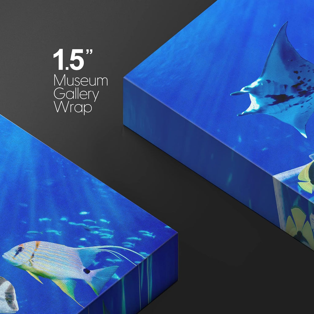 wall26 Canvas Print Wall Art Vibrant Sunlight Ray Ocean Shark Fish Reef Nature Animals Photography Realism Rustic Scenic Landscape Wilderness Earth for Living Room, Bedroom, Office - 32"x48"