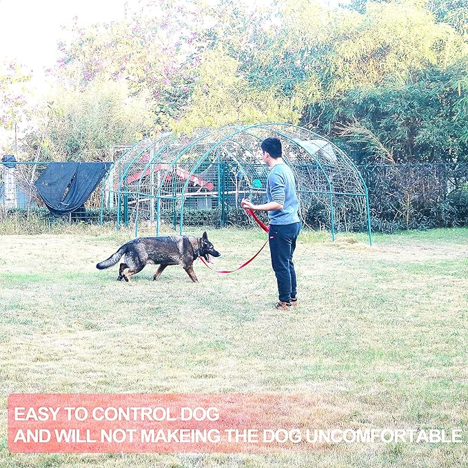 Dog/Puppy Obedience Recall Training Agility Lead -15ft 20ft 30ft 40ft 50ft Training Leash - Great for Play, Camping, or Backyard - Red 50ft