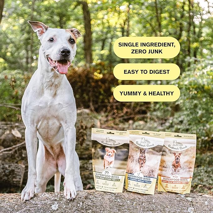 BADLANDS RANCH - Superfood Bite, Freeze-Dried Raw Dog Treats - Protein Rich, Train & Reward, Traceable Single Ingredient by Katherine Heigl (Beef Liver)