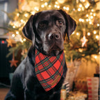 Realeaf Christmas Dog Bandanas 2 Pack, Reversible Red Green Plaid Dog Scarf, Xmas Pet Bandana for Boy and Girl, Premium Durable Fabric, Holiday Check Bandana for Small and Medium Dogs Pets (Small)