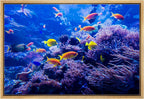 wall26 Framed Canvas Print Wall Art Purple Blue Vibrant Anemone Coral Reef Fish Nature Animals Realism Rustic Scenic Landscape Wilderness Colorful for Living Room, Bedroom, Office - 24"x36" Natural