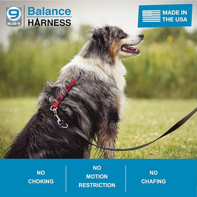 Blue-9 Buckle-Neck Balance Harness, Fully Customizable Fit No-Pull Harness, Ideal for Dog Training and Obedience, Made in The USA, Black, Large