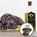 The Blissful Dog Cane Corso Nose Butter for Dry, Cracked Skin, Lick-Safe Dog Nose Balm with Moisturizing Shea Butter, Almond, Olive, and Essential Oils, Pet Supplies, Uncented, 4 oz.