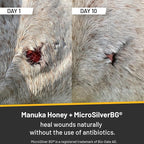 Absorbine Silver Honey Rapid Wound Repair Ointment 2oz Tube, Manuka Honey + MicroSilver BG, Horse & Large Animal Wound Care