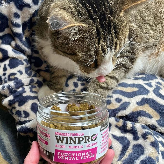 WINPRO - Tasty Dental Bites for Cats, Plasma-Powered Formula for Teeth Cleaning, Gum Support & Dental Care, Probiotic Blend Catnip Treats for Gut Health, All Cat Breeds, 120 Count, Made in USA