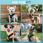 Gooby Escape Free Easy Fit X Step-in Dog Harness, Seattle Blue, X-Large | Patented escape-free, tightens on back-out; Choke-free X-frame + V-neck; Quick-release buckle; Reflective trim