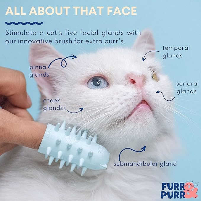 Furr&Purr Cat Brush, Made in the USA, Face Massager, Face Scratcher, Calming Care Comb for Cats, Indoor Cats (1-Pack)