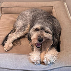 SPOT Dura-Fused Leather Small Bone Dog Toy – Durable Chew Toy with Real Leather & Jute, Squeaker, and Double-Stitched Seams for Moderate Chewers, Small & Medium Dogs, 7in