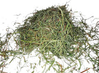 High Desert 2nd Cutting Timothy Grass Hay for Guinea Pigs, Rabbits, and More Small Animal Pets (16 lb)