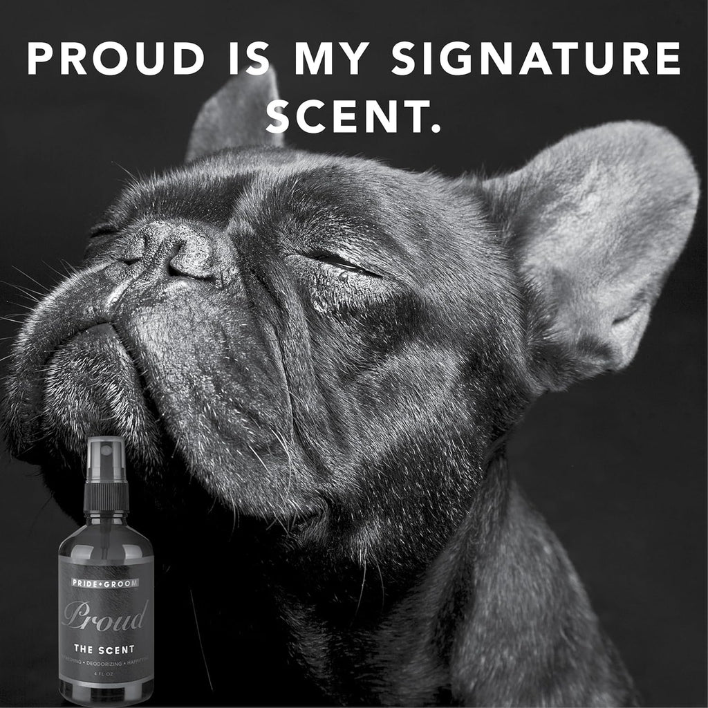 Pride and Groom Proud – Long Lasting Luxurious Dog Grooming Spray & Pet Deodorizer with Uniquely Uplifting, Fresh and Clean Signature Scent, Safe for Sensitive Skin & Noses – 4 fl oz