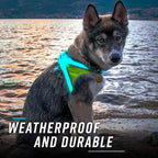 noxgear LightHound Light Up Reflective Dog Harness, Large | 360° Light Up Reflective Dog Harness, 8 Colors & 6 Modes, USB Rechargeable, Adjustable, Rainproof, LED Fiber Optic