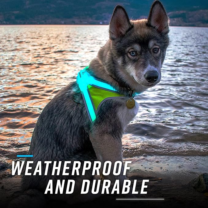 noxgear LightHound Light Up Reflective Dog Harness and Wrist Light, X-Large | 360° Light Up Reflective Dog Harness, 8 Colors & 6 Modes, USB Rechargeable, Adjustable, Rainproof, LED Fiber Optic