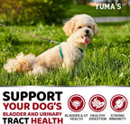 Dog UTI Treatment - 170 Treats - Cranberry Supplement for Dogs - Bladder Control - Urinary Tract Infection Treatment - UTI Medicine Multivitamin - Vitamins and Supplements - Made in USA
